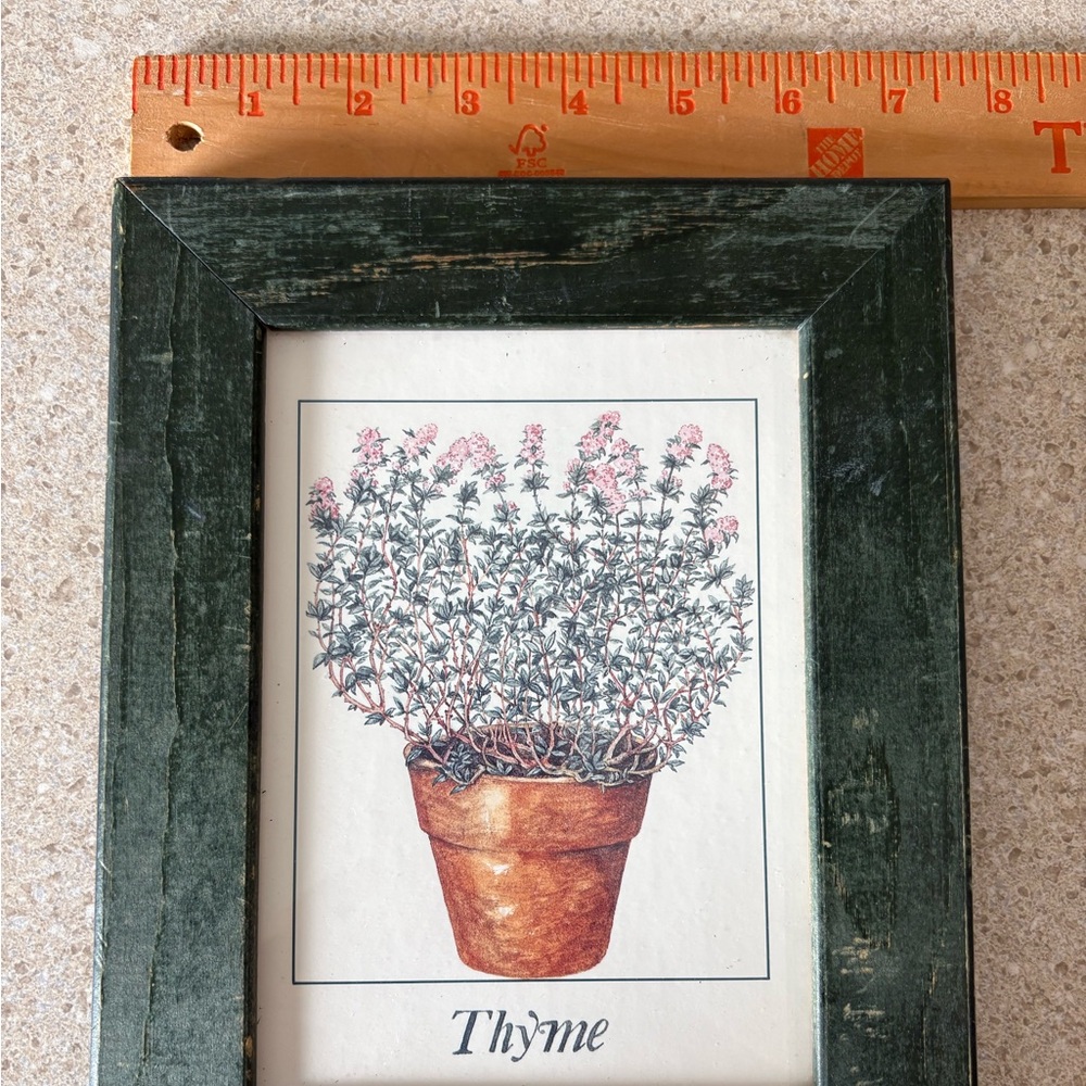 Vintage Thyme Botanical Art Print - Distressed Green Wooden Framed Herb Picture - Picture 3 of 4